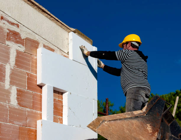 Best Affordable Insulation Services  in USA